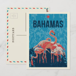 Bahamas Rosa Flamingos vykort