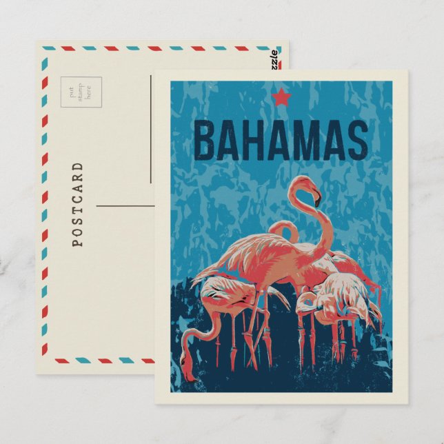 Bahamas Rosa Flamingos vykort (Fram/baksida)
