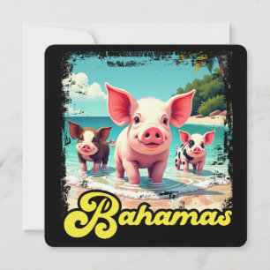 Bahamas Simmande Grisar - Exuma Grisstrand Äventyr Inbjudningar
