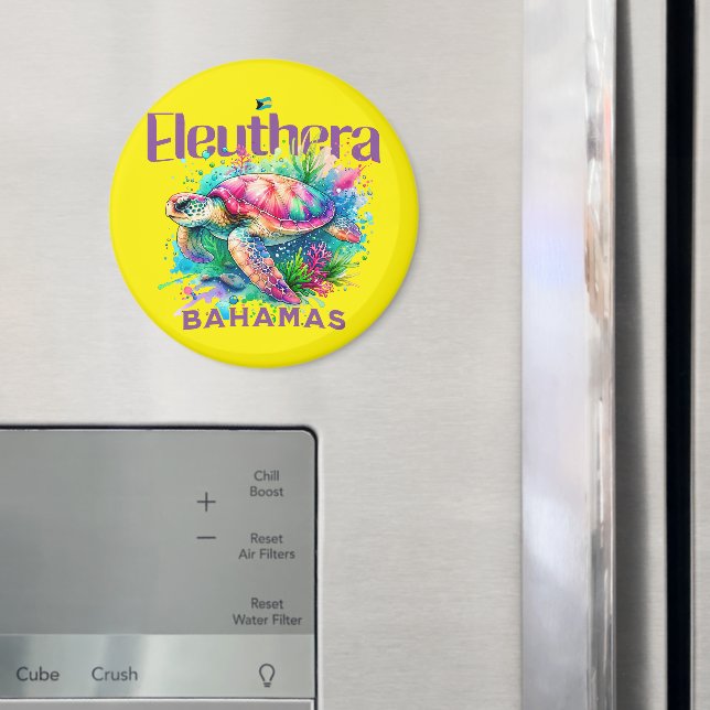 Bahamas Souvenir Gift: Eleuthera Bahamas Turtle Magnet (In Situ (Fridge))