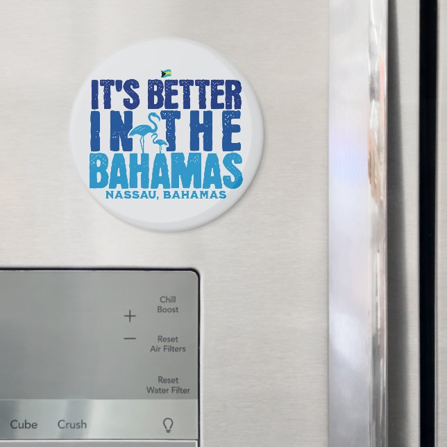 Bahamas Souvenir Gift: Nassau Bahamas Cruise Magnet (In Situ (Fridge))