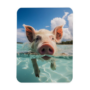 Bahamas Swimming Gris Magnet