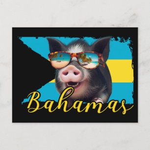 Bahamas Swimming Grisar - Exuma Gris Beach Äventyr Vykort