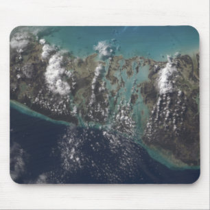 Bahamas'nas den Andros ön 2 Musmatta