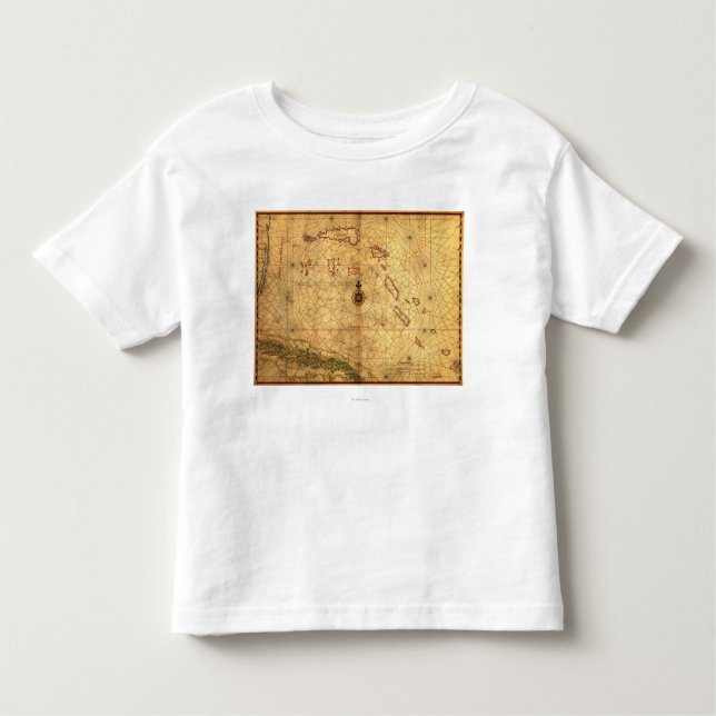 BahamasPanoramic MapBahamas Tee Shirt (Framsida)