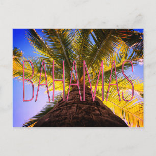Bahamian Träd Vykort