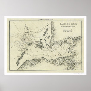 Bahia De Tampa Florida Karta 1809 Poster