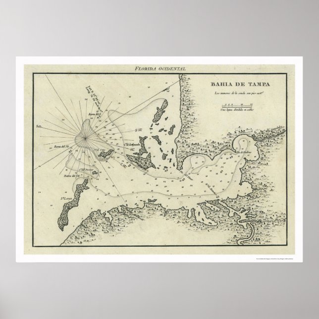 Bahia De Tampa Florida Karta 1809 Poster (Framsidan)