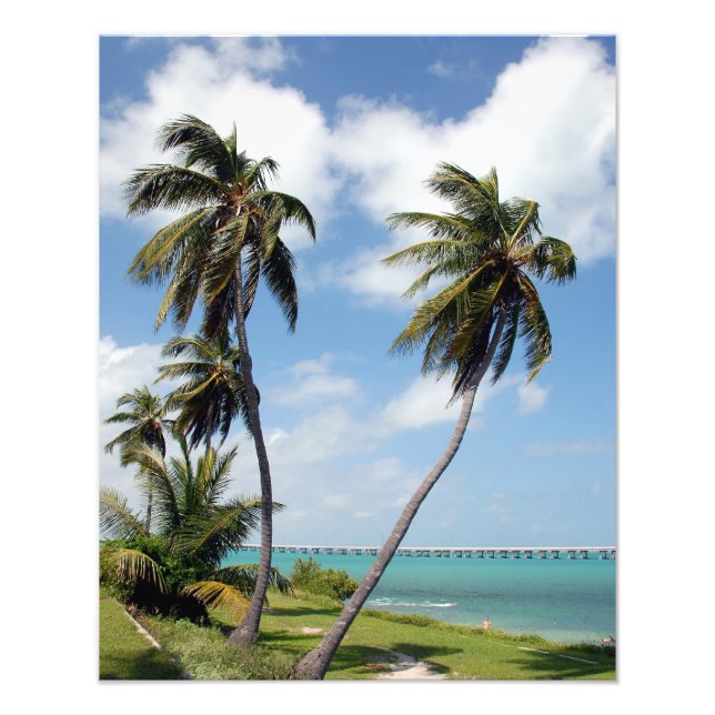 Bahia Honda State Park Florida Nycklar Photo Print Fototryck (Framsidan)