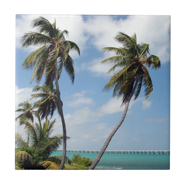 Bahia Honda State Park Kakelplatta (Framsidan)