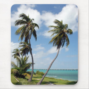 Bahia Honda State Park Musmatta