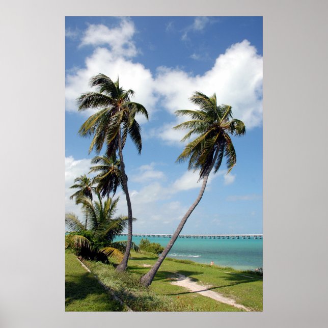 Bahia Honda State Park och Seven Mile Bridge Poster (Framsidan)