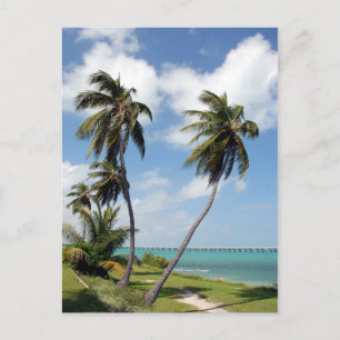 Bahia Honda State Park och Seven Mile Bridge Vykort
