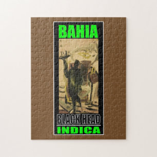 BAHIA SVART HUVUD INDICA PUSSEL