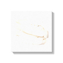 Bai Shao Kanvastryck