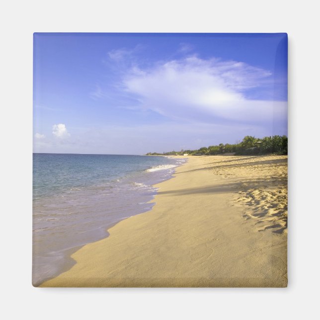 Baie Longue Long Bay-stranden, St. Martin Magnet (Framsidan)