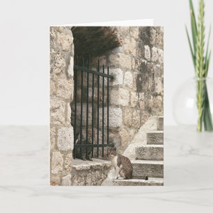 "bail mig" Card ut (tom insida) Kort