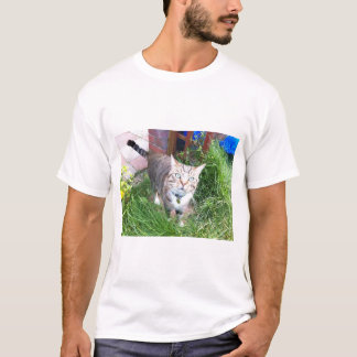 Bailey, kattskjortan t shirt