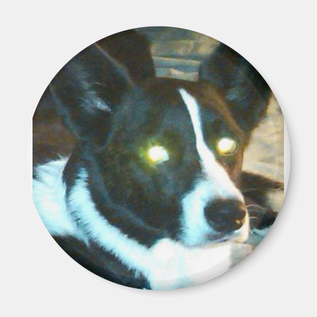Bailey Magnet (Framsidan)