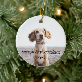 Baileys första julhundprydnad 2026 julgransprydnad keramik