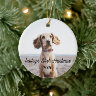 Baileys första julhundprydnad 2026 julgransprydnad keramik