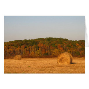 Bails of Hay Hälsningskort