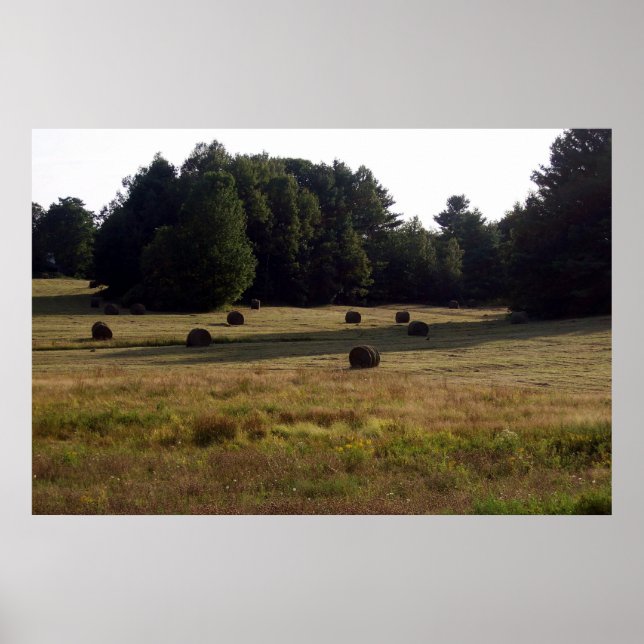 Bails of Hay Poster (Framsidan)