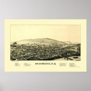 Bainbridge, NY Panoramic Karta - 1889 Poster