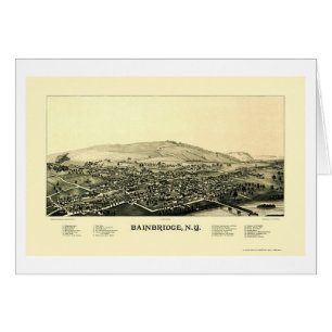 Bainbridge panorama- karta för NY - 1889 Hälsningskort
