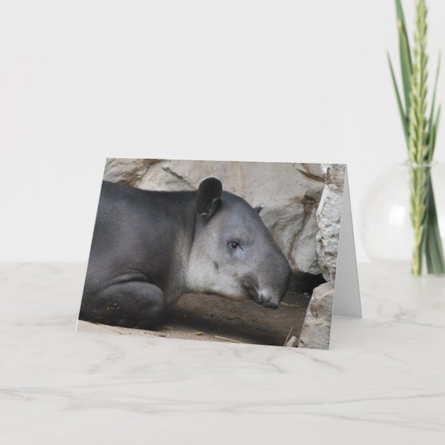 Bairds kort för Tapirhälsning (Framsida)