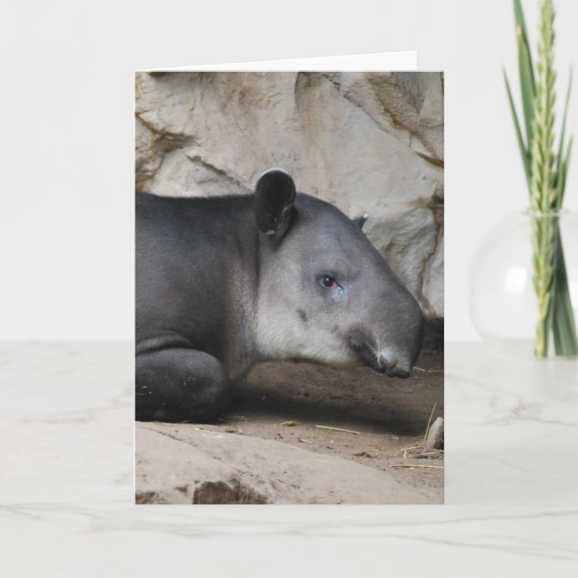 Bairds kort för Tapirhälsning (Framsida)