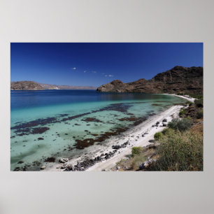 Baja befruktningfjärd poster