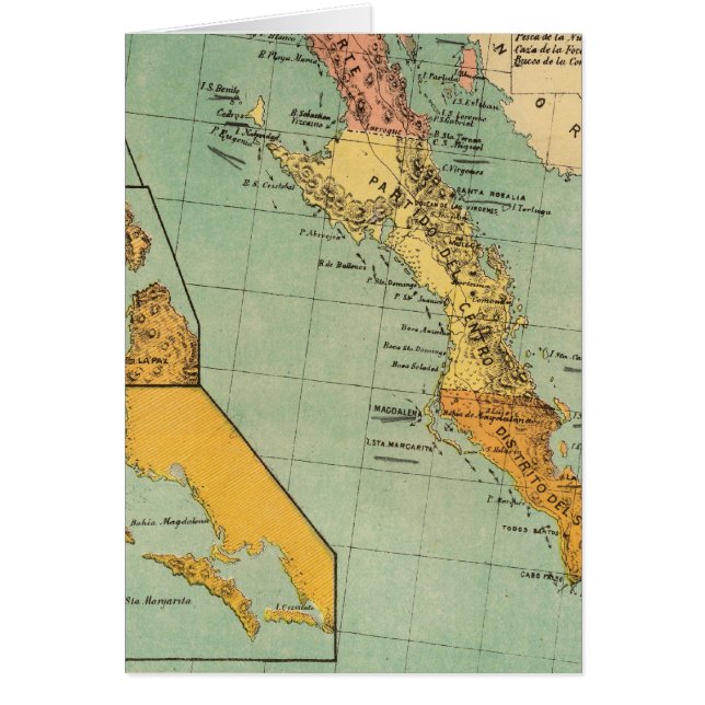 Baja California, Mexiko Hälsningskort (Framsidan)