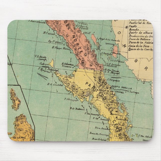 Baja California, Mexiko Musmatta (Framsidan)