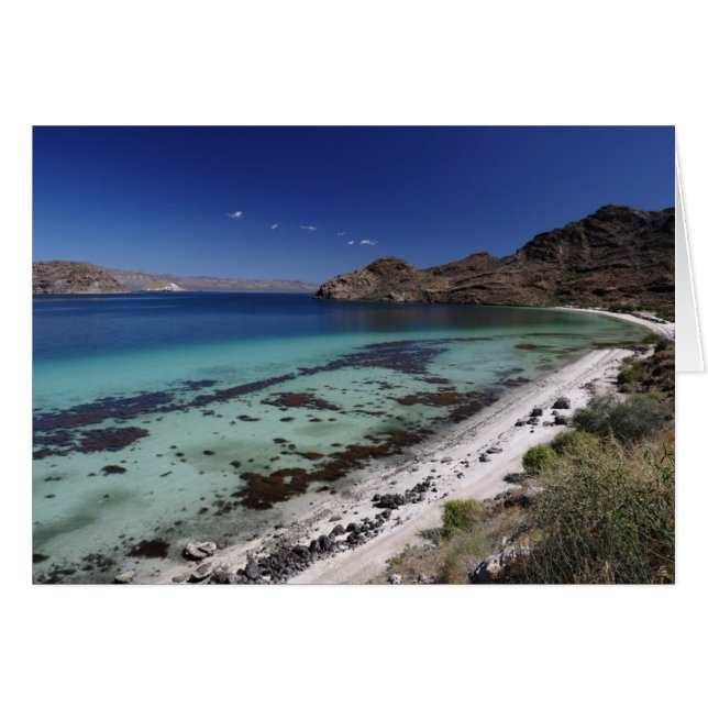 Baja Conception Bay Hälsningskort (Framsidan Horizontal)