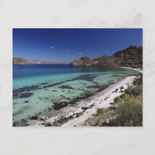 Baja Conception Bay Vykort