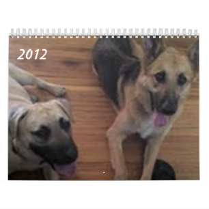 Baja/Hercules Kalender