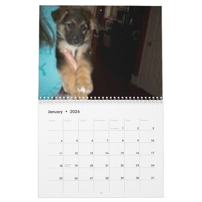 Baja/Hercules Kalender (Jan 2026)