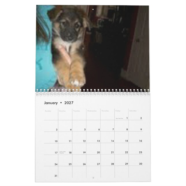 Baja/Hercules Kalender (Jan 2027)