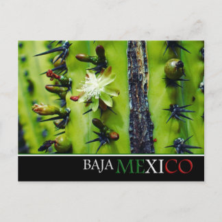 Baja Mexiko vykort