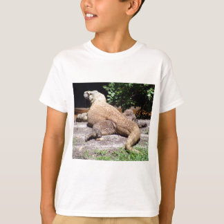 Bak av komododraken tröja