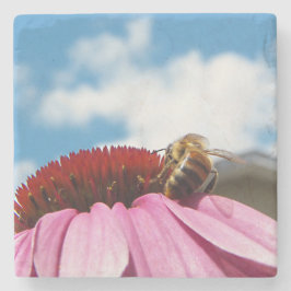 Bak biet underlägg sten