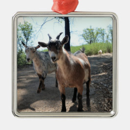 Baka & LuLit, Lycklig Goats Ornament