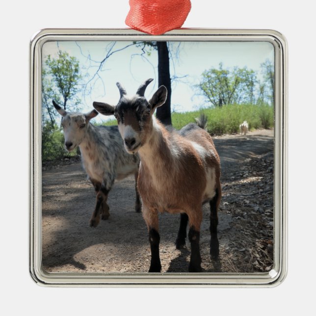 Baka & LuLit, Lycklig Goats Ornament (Framsidan)