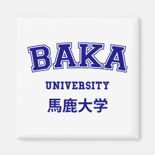 BAKA UNIVERSITETEN MAGNET