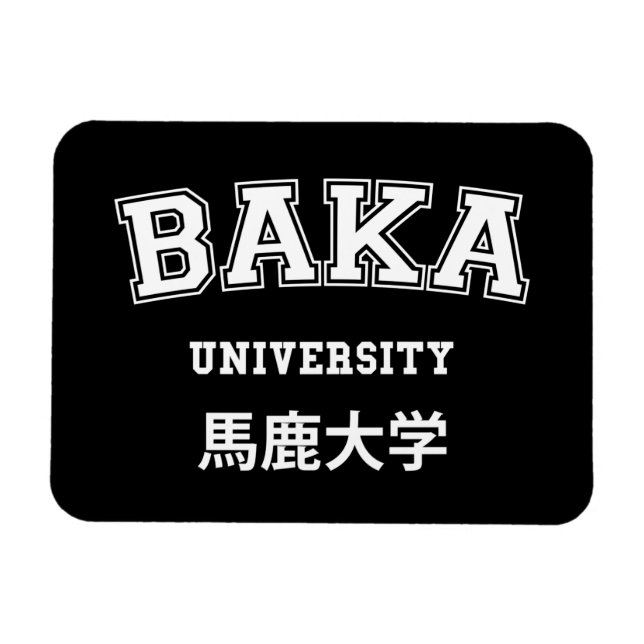 BAKA UNIVERSITETEN MAGNET (Horisontell)