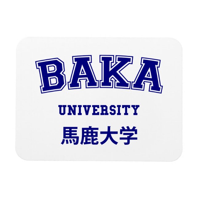 BAKA UNIVERSITETEN MAGNET (Horisontell)