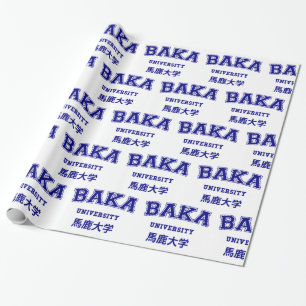BAKA UNIVERSITETEN PRESENTPAPPER
