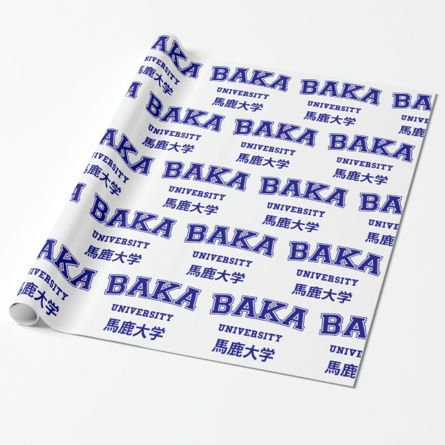 BAKA UNIVERSITETEN PRESENTPAPPER (Utrullad)