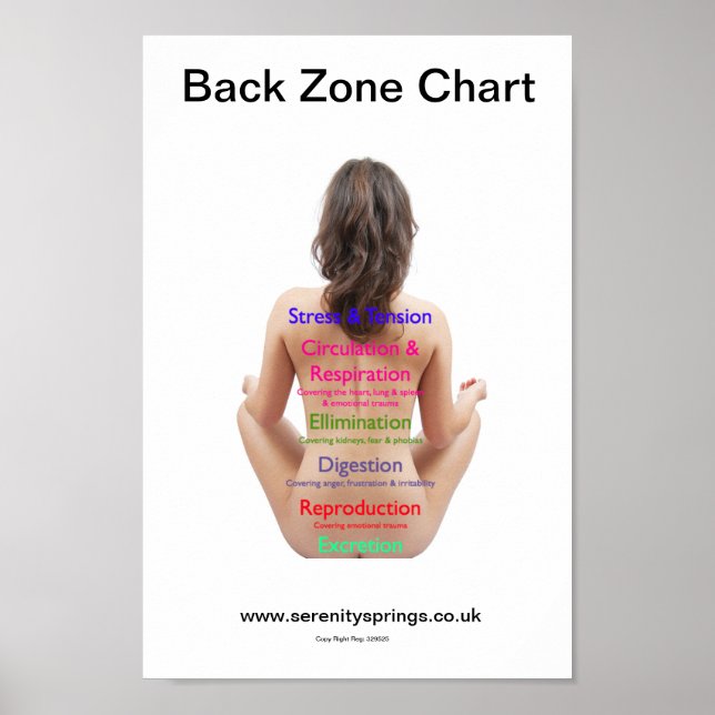Bakåt Zont diagram Poster (Framsidan)